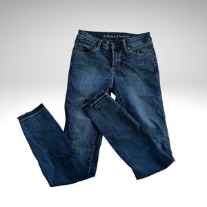 Articles of Society Dark Wash Jeans